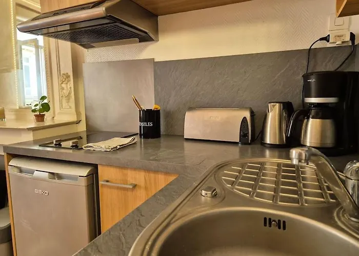 Apartamento L'iconique - Hypercentre - Wifi *